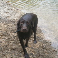 Photo de profil de Comète