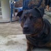 Photo de Brasil