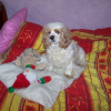 Photo de Tia