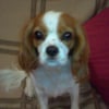 Photo de Dayka