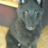 Photo de Ikkyo