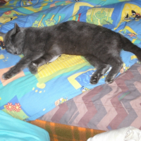 Photo de profil de Donant