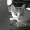 Photo de Extasy