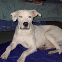 Photo de profil de Gringa