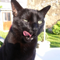 Photo de profil de Tanis