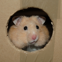 Photo de profil de Super man