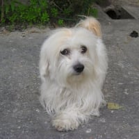 Photo de profil de Boby