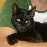 Photo de profil de Gougoune