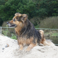 Photo de profil de Kurun
