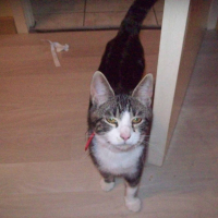 Photo de profil de Cartouche