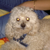 Photo de profil de Lucky