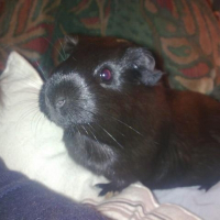 Photo de profil de Christel