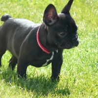 Photo de profil de Enza