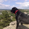 Photo de Choko