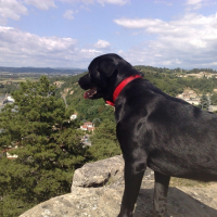 Photo de profil de Choko