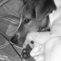 Photo de profil de Bounty