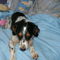 Photo de profil de Kétie