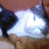 Photo de Bouba