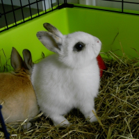 Photo de profil de Flocon