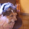 Photo de Rita