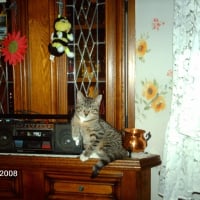 Photo de profil de Sacha