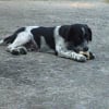 Photo de Eros