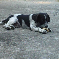 Photo de profil de Eros
