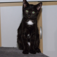 Photo de profil de Luna
