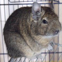 Photo de profil de Aucun