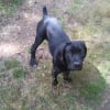 Photo de Eros