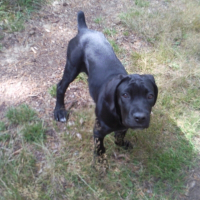 Photo de profil de Eros
