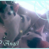 Photo de Angel