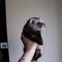 Photo de profil de Boubouille