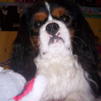 Photo de profil de Vasco