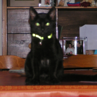 Photo de profil de Canaille