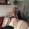 Photo de Diva