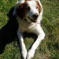 Photo de profil de Holly