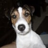 Photo de Snoop