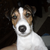 Photo de profil de Snoop