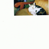 Photo de Blanca