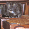 Photo de Lola