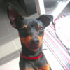 Photo de Gus