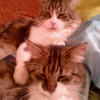 Photo de Lilou