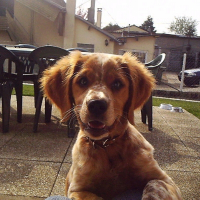 Photo de profil de Cora