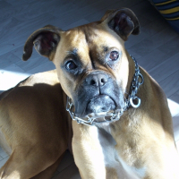 Photo de profil de Kiara