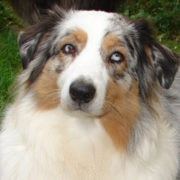Photo de profil de Widji
