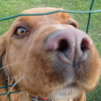 Photo de profil de Dorie