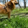Photo de Douna