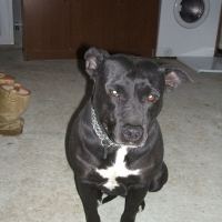 Photo de profil de Skuaw