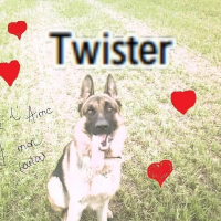 Photo de profil de Twister